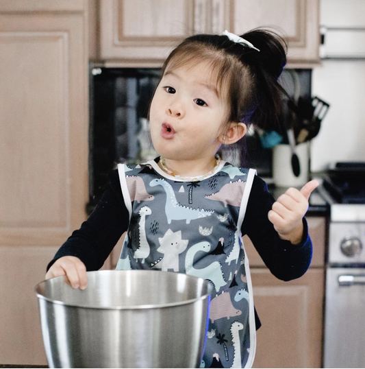 Bapron Baby Dinosaur Bib