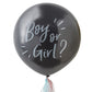 Boy or Girl Gender Reveal Balloon Kit
